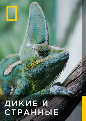 Дикие и странные