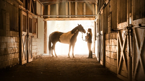 Сердце чемпиона UHD HDR
