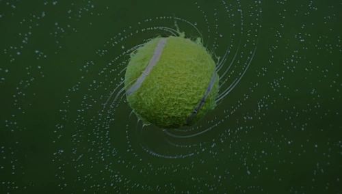 Tennis. ATP 500. Rotterdam