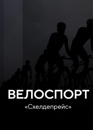 Велоспорт. «Схелдепрейс»