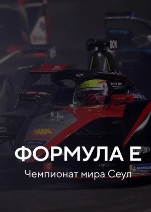 Формула E. Чемпионат мира Сеул