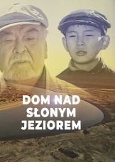 Dom nad słonym jeziorem — plakat