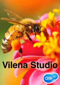 Vilena Studio