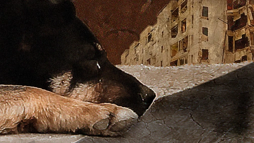 Втрачений дім