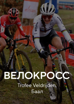 Велокросс. Trofee Veldrijden. Баал