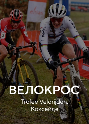 Велокрос. Trofee Veldrijden. Коксейде