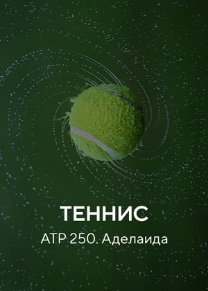 Теннис. ATP 250. Аделаида