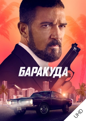 Баракуда UHD