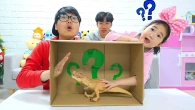 What’s In the Box Challenge with Boram!!!!