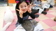 Boram and her Fun day with kittens