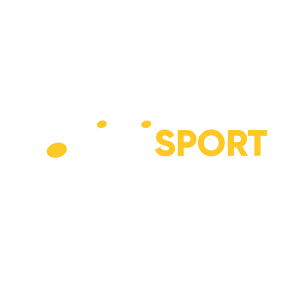 Логотип DIVISPORT