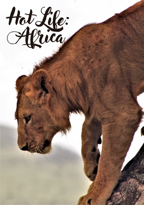 Hot Life: Africa