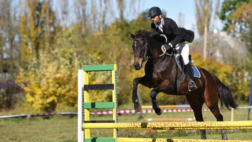 Equestrian Sports World Cup. Puebla