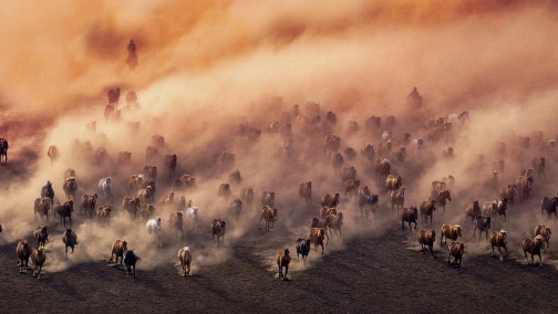 Прикордоння