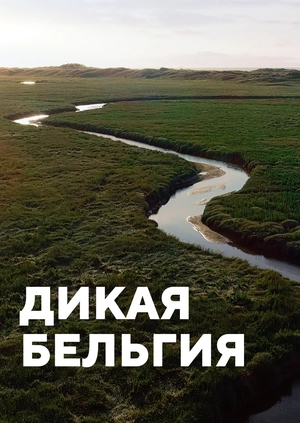 Дикая Бельгия