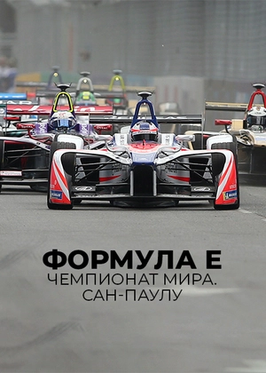 Формула E. Чемпионат мира. Сан-Паулу