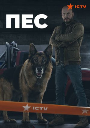 Серіал "Пес" Пес - дивитися онлайн безкоштовно і легально на MEGOGO.NET