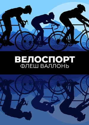Велоспорт. Флеш Валлонь