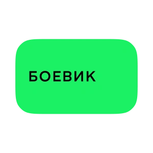 Боевик