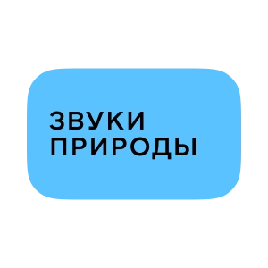 Звуки природы