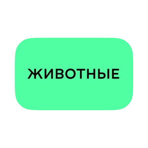 Животные