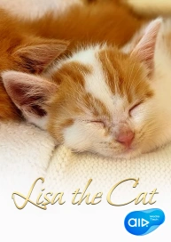 Lisa the Cat