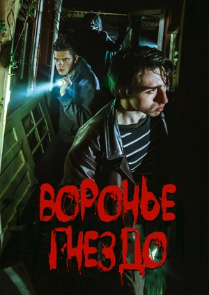 Воронье гнездо