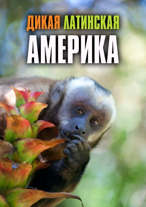 Дикая Латинская Америка
