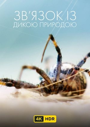 Зв'язок із дикою природою UHD HDR