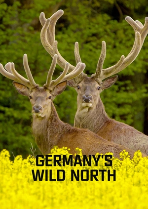 Germany’s Wild North
