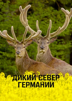 Дикий север Германии