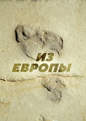 Из Европы