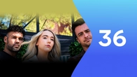 Серія 36