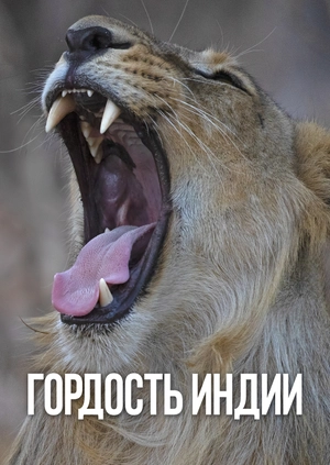 Гордость Индии